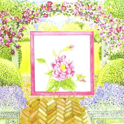 Rose and Lavender